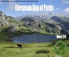 Avrupa Parklar Günü
